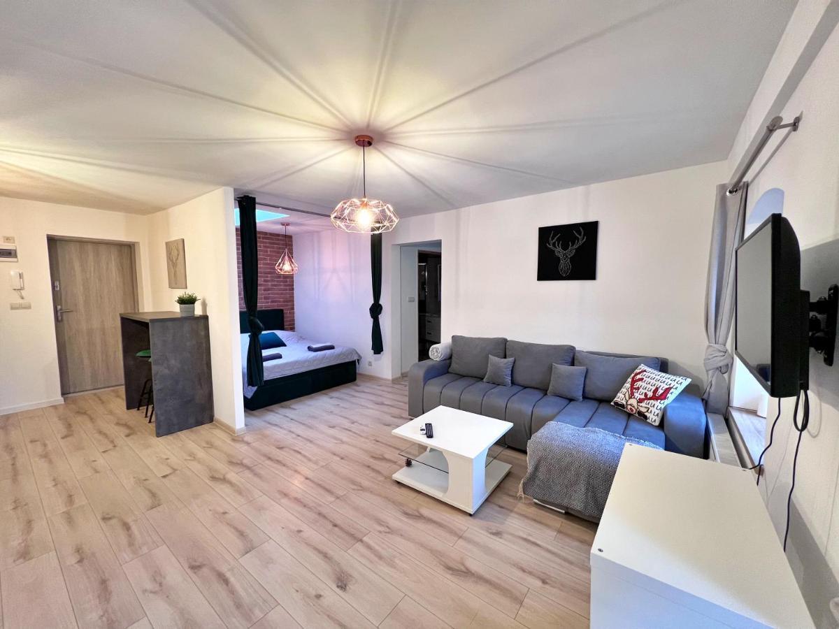 Apartament W Samym Centrum Jeleniej Gory Jelenia Góra Kültér fotó
