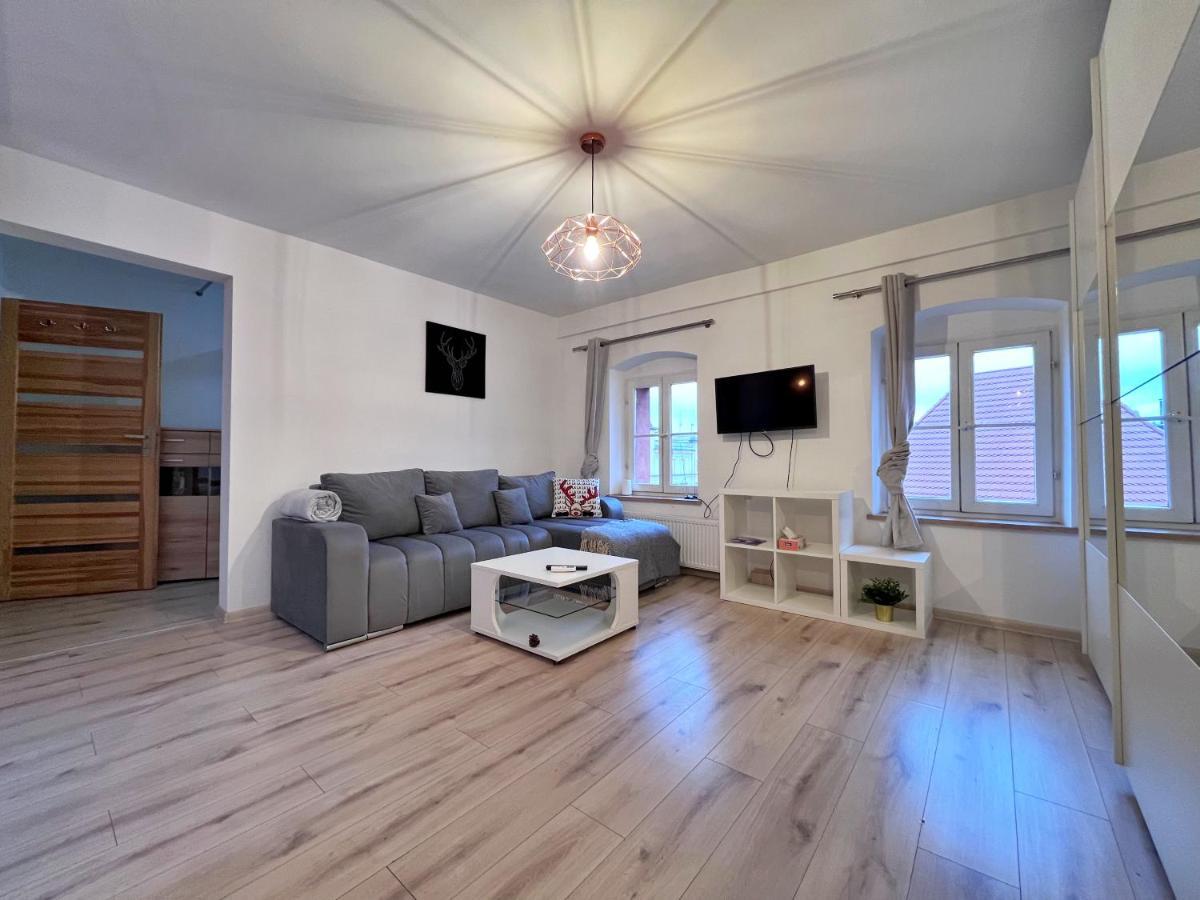 Apartament W Samym Centrum Jeleniej Gory Jelenia Góra Kültér fotó