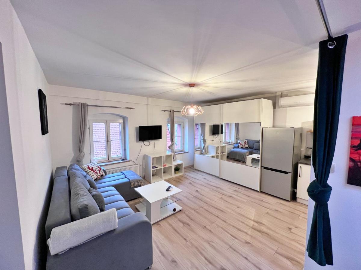 Apartament W Samym Centrum Jeleniej Gory Jelenia Góra Kültér fotó